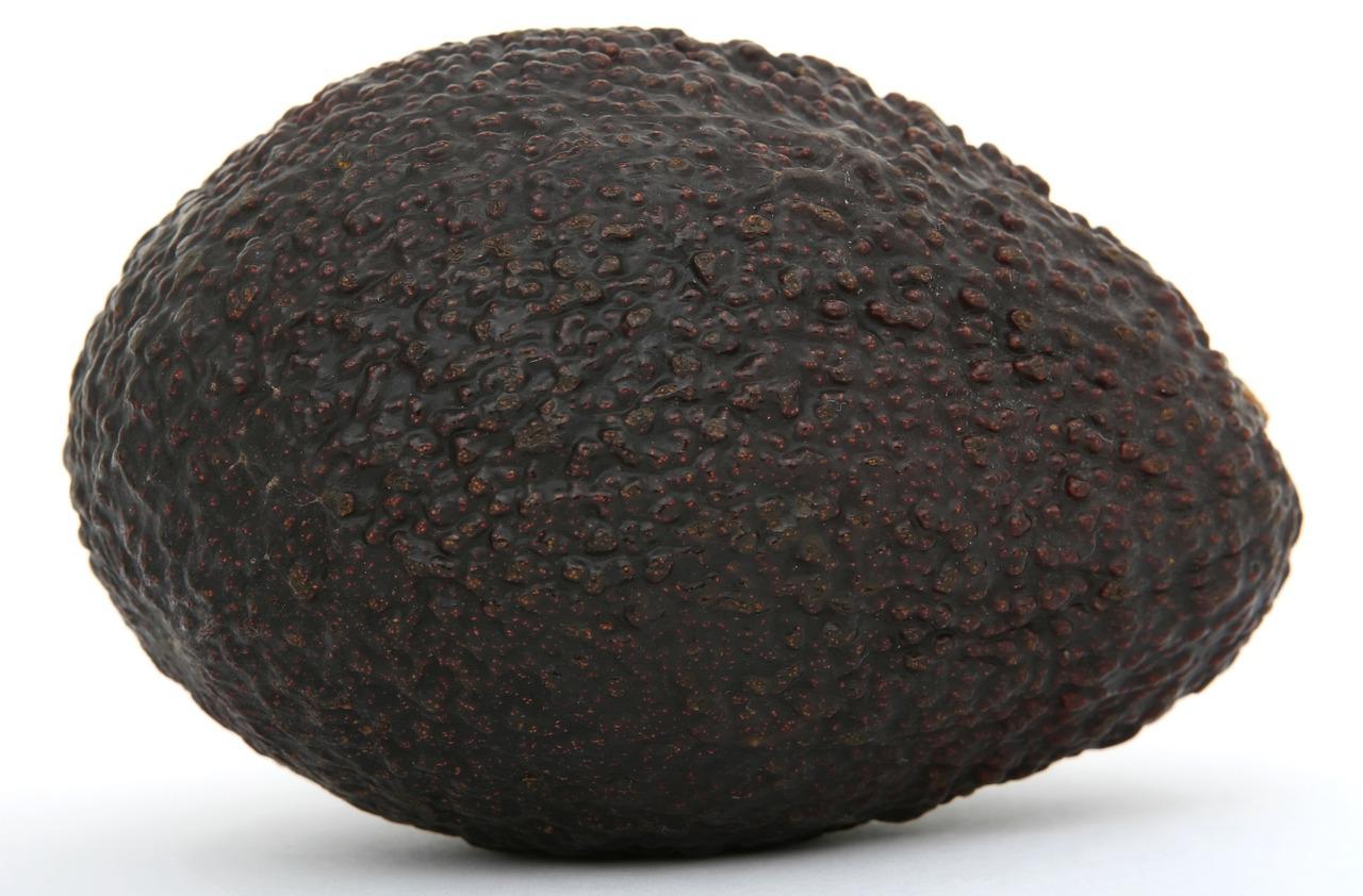 Avokádo